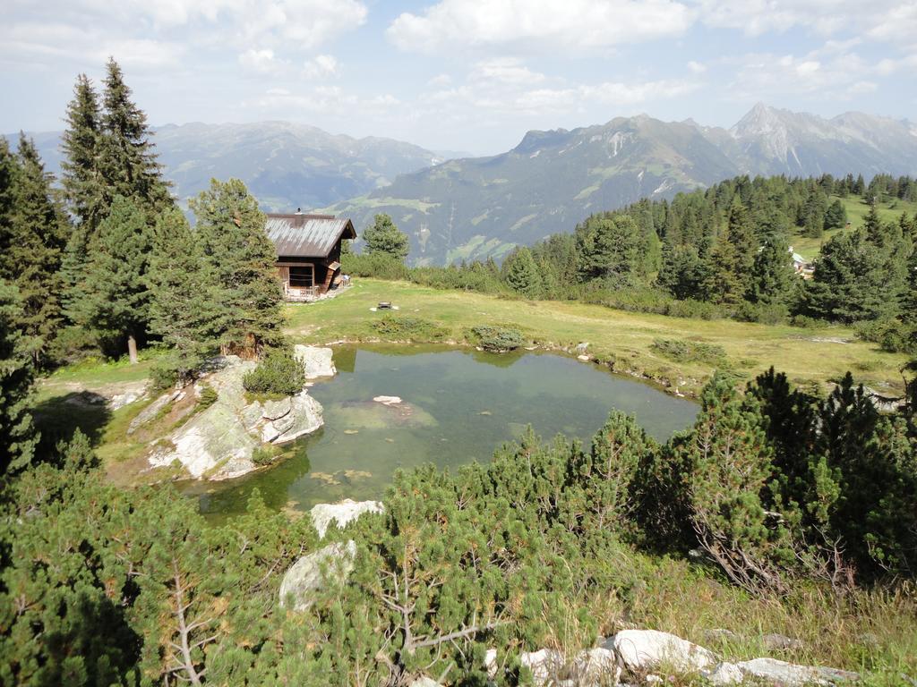 Apart Huamatl Ramsau im Zillertal Rum bild
