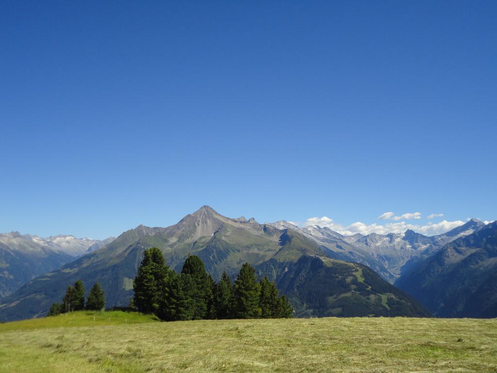 Apart Huamatl Ramsau im Zillertal Rum bild